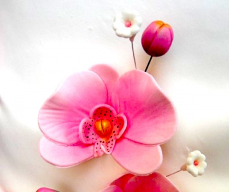 Вырубка стальная Орхидея | Набор 3 шт