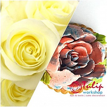 Насадка Малазийский Цветок №212 Нежная Роза | XL размер (Russian Flower Nozzle # 212 - Delicate Rose | XL size | By Tulip Workshop) Насадка Малазийский Цветок №212 Нежная Роза | XL размер (Russian Flower Nozzle # 212 - Delicate Rose | XL size | By Tulip Workshop)