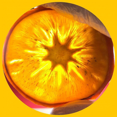 Хурма сушеная колечками фруктовые чипсы (слайсы) от 30 г. Хурма сушеная колечками фруктовые чипсы (слайсы) от 30 г.